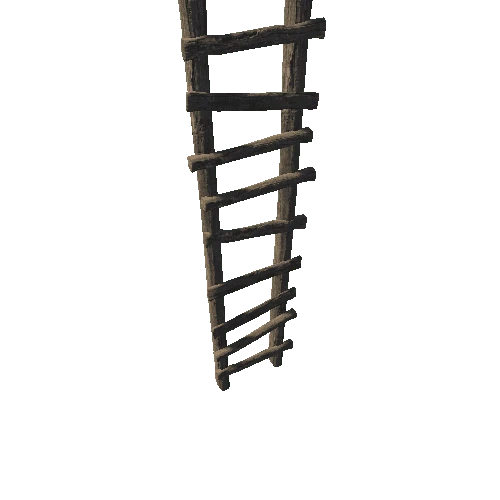 Ladder Old 2